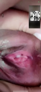 收母狗，可网调